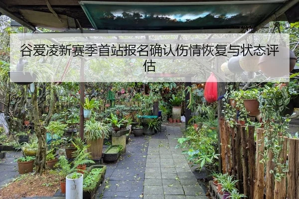 谷爱凌新赛季首站报名确认伤情恢复与状态评估